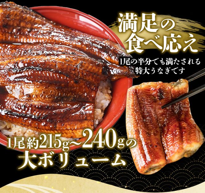 うなぎ蒲焼 4尾 計約860g～960g （タレ・山椒付き） 1尾約215g～240gのビッグサイズ 鰻 うなぎ うなぎの蒲焼 炭火焼き 炭火 中国産【nks702C】