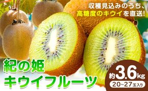 【先行予約】紀の姫キウイフルーツ約3.6kg（20～27玉入） JAわかやま 紀の里地域本部 《1月上旬-2月末頃出荷》和歌山県 紀の川市---wsk_jak23_1j2m_24_12000_3600g---
