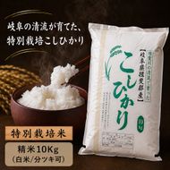 【令和7年産】特別栽培米 10kg【白米、7分ツキ】（コシヒカリ）