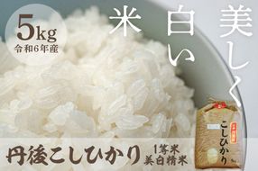 令和6年産 美白精米 丹後こしひかり 5kg 1等米　西日本最多特A獲得★ 大正初期創業の老舗米商店が厳選した一等米をお届け★ 白米 コシヒカリ　MU00041