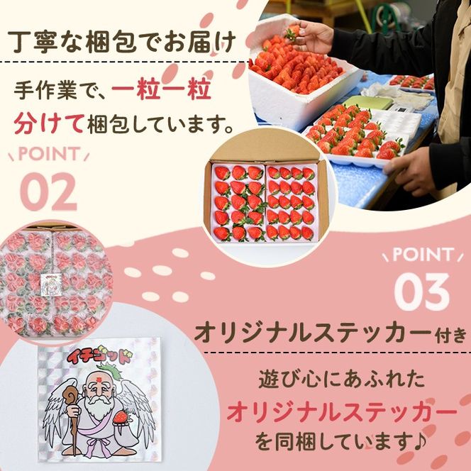 ＜先行予約受付中！2026年1月以降順次発送予定＞鹿児島県産 いちご さがほのか (1.4kg) イチゴ 苺 鹿児島県産 国産 ハウス栽培 フルーツ デザート 果物 手作業 数量限定 期間限定 旬【切通優】akn100-01