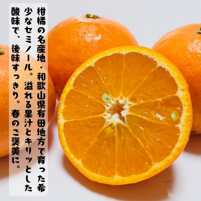 【特撰】セミノール 5kg+200g(補償分)｜ みかん 高級 くだもの 晩柑 柑橘 和歌山