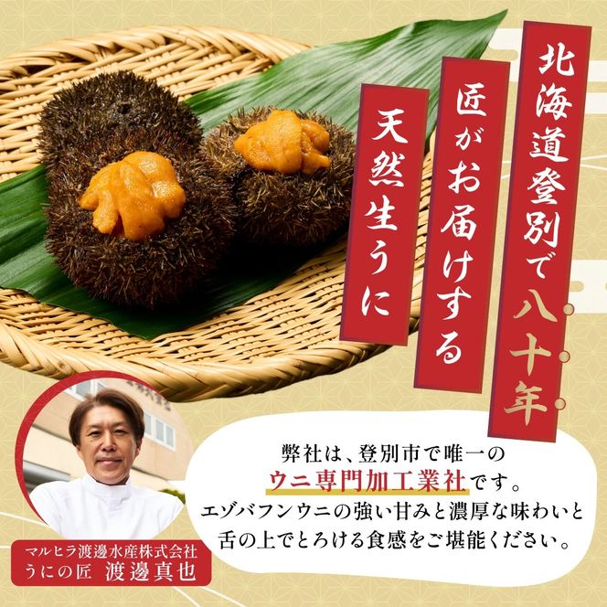 北海道 登別近海産 極上エゾバフンウニ パック詰 100g ※2025年6月より発送