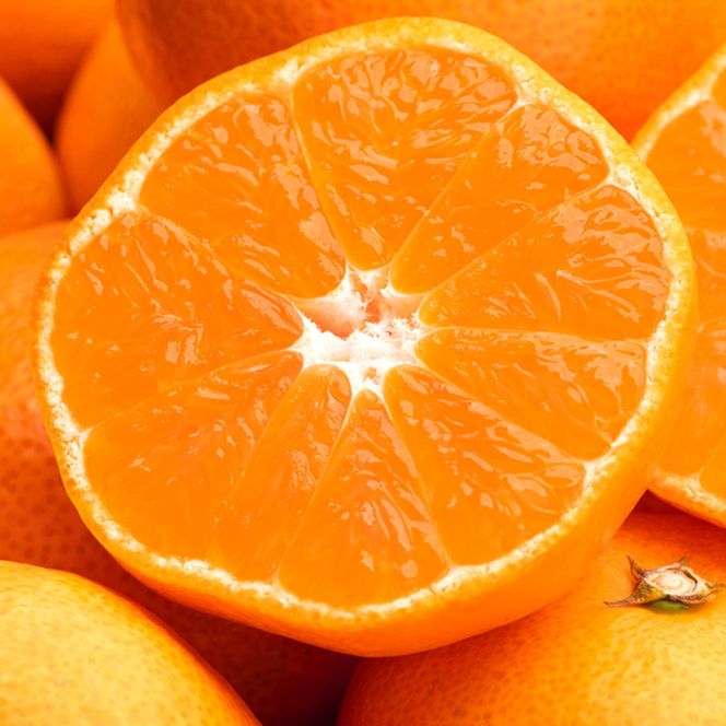 瀬戸内温州みかん（2L～Mサイズ混合）約10kg【2026年10月中旬～2027年1月下旬配送】 372013_T006-779J