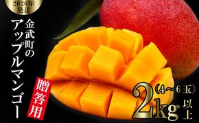 【2026年発送】金武町のアップルマンゴー◆贈答用◆2kg以上（4～6玉） アーウィン 果物 甘い 夏 濃厚 ギフト Mango ランキング 完熟 お気に入り 収穫 人気 甘味 フルーツ 沖縄県 先行予約 食品 デザート 産地直送 送料無料