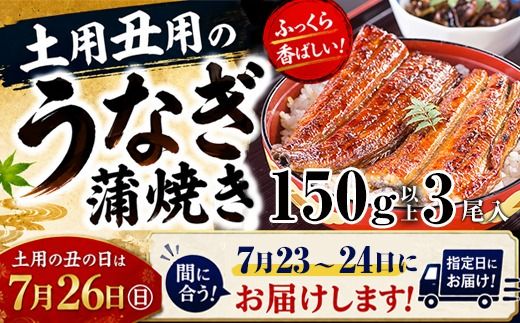 1167.【丑の日用】国産うなぎ蒲焼き大サイズ3本セット(A1167-1) 
