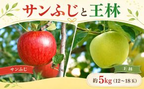 りんご 青森県産 サンふじ 王林 詰合せ セット 約 5kg (12～18玉） フルーツ 果物 ふじ 産地直送 お取り寄せ 送料無料 青森県 鰺ヶ沢町 《木村りんご園》