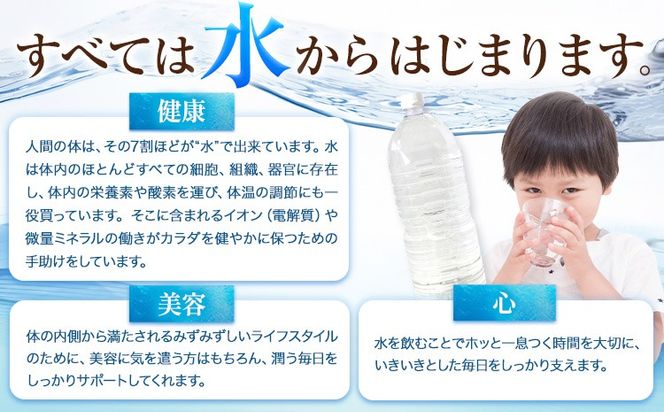 熊本イオン純天然水 ラベルレス 2L×20本 《1-3日以内に出荷予定(土日祝除く)》2l 水 飲料水 ナチュラルミネラルウォーター 熊本県 玉名郡 玉東町 完全国産 天然水 くまモン パッケージ---gkt_lcl_384_20h---