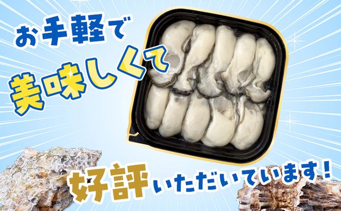 【 6ヵ月 定期便 】 北海道 厚岸産 ちょびっと 牡蠣 むいちゃいました！ ( 生食用 ) 300g カキ むき身 