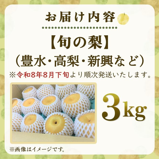 【産直もぎたて】里山のもぎたて梨 3kg程度（フルーツ 果物 くだもの 旬 梨 数量限定 期間限定）
