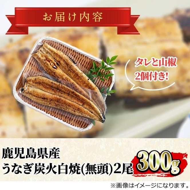 【0174320a】東串良町のうなぎ炭火白焼(無頭)(2尾・計約300g・タレ、山椒付) うなぎ 高級 ウナギ 鰻 国産 白焼き 鹿児島 ふるさと 人気【アクアおおすみ】