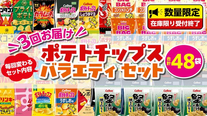  【 スナック菓子 3ヶ月 定期便 】 カルビー 湖池屋 人気 48袋 詰め合わせ バラエティ セット スナック ポテトチップス ポテチ ポテトチップ 菓子 お菓子 おかし おやつ おつまみ 大量 BIGBAG 堅あげポテト のりしお うすしお ブラックペッパー 頒布会 ジャガイモ じゃがいも まとめ買い [DA018us]