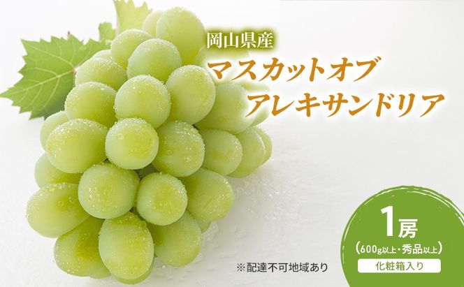 ぶどう 2026年 先行予約 マスカットオブアレキサンドリア 1房(600g以上・秀品以上) 化粧箱入り [№5735-2048]