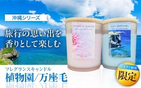 ふるさと納税限定 フレグランスキャンドル 『沖縄シリーズ』 2種セット (万座毛・植物園) キャンドル おしゃれ ルームフレグランス アロマキャンドル ギフト 沖縄市 / Earth & Pure[BCDJ012]