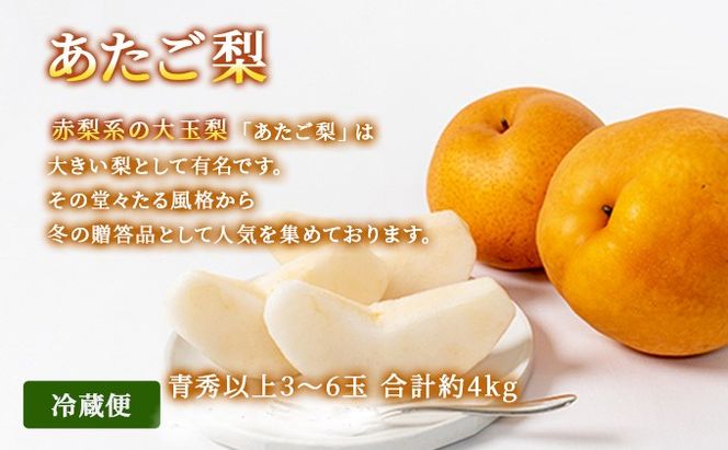 フルーツ 2026年 先行予約 晴れの国 岡山 の フルーツ 定期便 3回コース 桃 ぶどう 梨 岡山県産 国産 フルーツ 果物 ギフト マスカット もも モモ なし お楽しみ