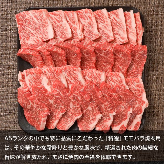 淡路島産黒毛和牛 『特選』モモバラ 焼肉用 500g【A5神戸牛】  焼肉