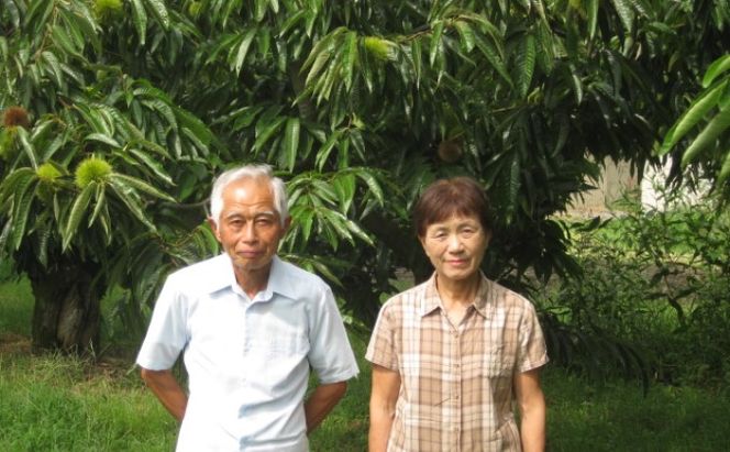 栗 草生栽培で育てた賀久農園の球磨栗 約3.9kg 2026年発送 配送不可 離島 果物類 くり 