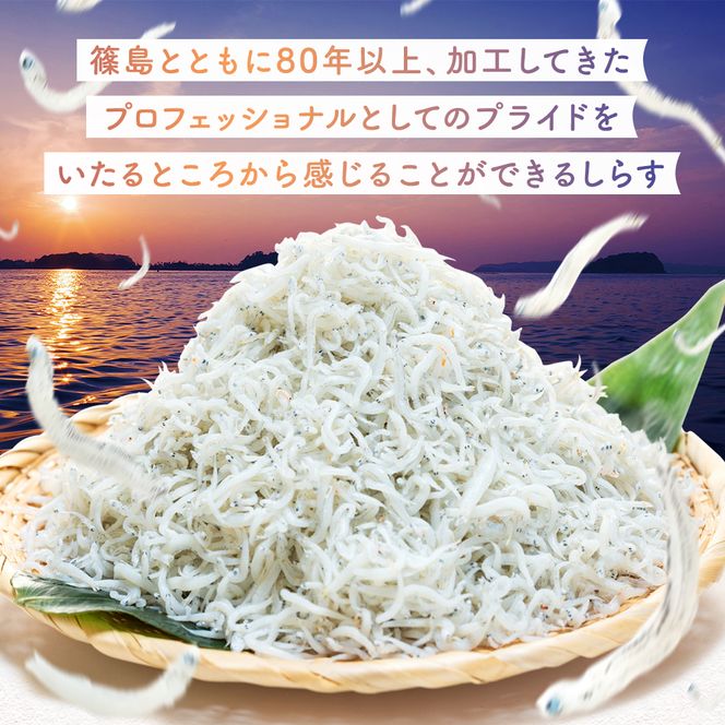 【スピード発送】＜篠島産＞ 訳あり しらす干し1.5kg シラス 南知多産 愛知