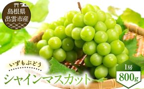 【2026年8月中旬以降発送】いずもぶどう シャインマスカット(800ｇ見当) 美味しい フルーツ 甘い 果物 出雲市産 322032_CG010