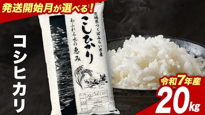 ＼ 選べる発送月 ／ コシヒカリ 20kg 令和7年産精米【 数量限定 】茨城県つくばみらい市産 米 コメ 単一米 茨城県産 国産 コスパ こしひかり 