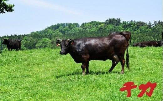 【5-65】当店人気の松阪牛すき焼きセット600g