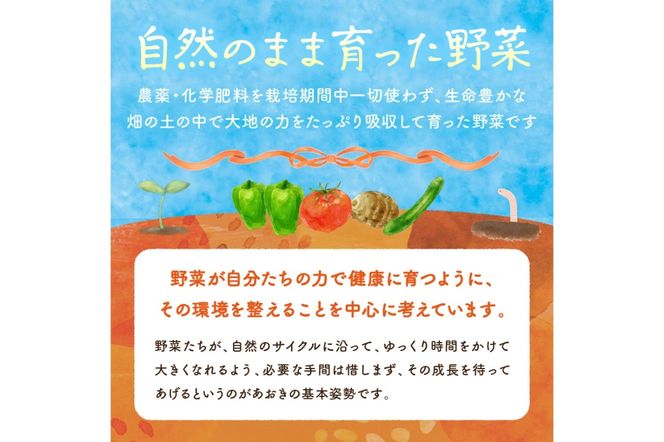 【数量限定】自然栽培野菜セット（団らん）　AB00007