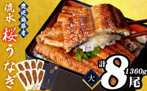熟練の技が冴える！うなぎの柳澤 至極うなぎ蒲焼き8尾(計1360g) f0-023