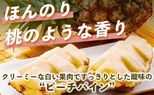 【先行予約】《2026年5月上旬頃より順次発送》石垣島産 ピーチパイン (3玉 約2.5㎏) 【 産地直送 沖縄 石垣 パイナップル フルーツ 】石垣さんちの石垣トロピカルファーム TP-10
