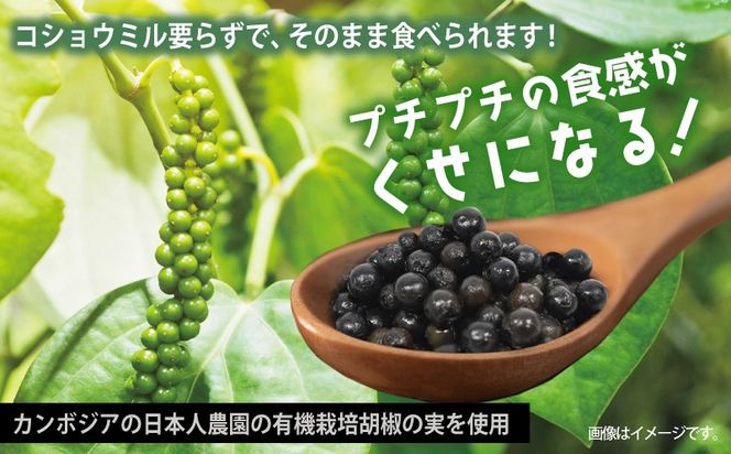 010B1809 生胡椒 塩漬け 50g×3P【コショウ こしょう カンポットペッパー スパイス カンボジア】