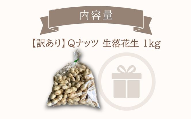 【先行受付・9月中旬より順次発送！】【訳あり】Qナッツ 生落花生 1kg SMAH015