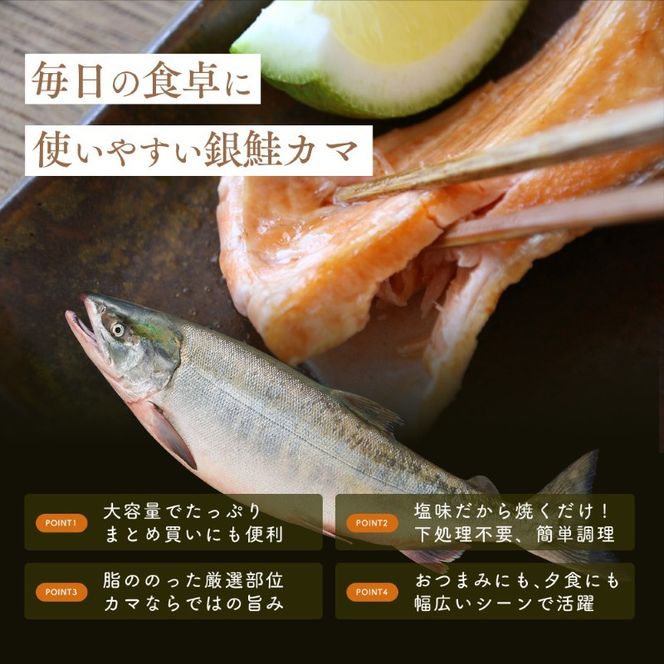 【ふるさと納税】訳あり 鮭 カマ 選べる 1kg 2kg 3kg しゃけ かま 塩銀鮭 サーモン 切り身 厚切り 冷凍 焼き鮭 おかず 朝食 お弁当 魚 海鮮 海産物 訳アリ 焼き魚 送料無料 福井県 若狭町