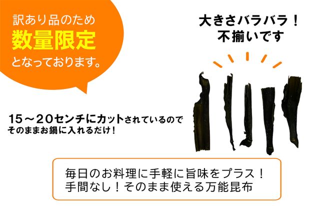 【北海道産】 訳あり 根昆布切り落とし 500g 不揃い 真昆布 昆布