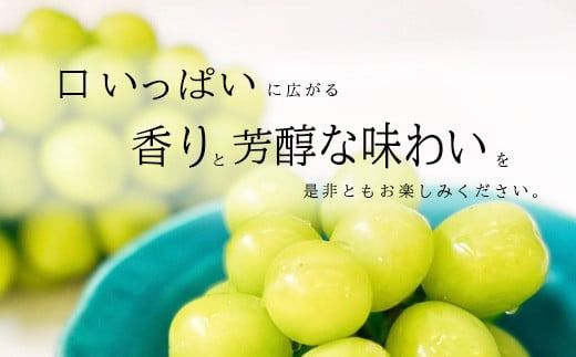 シャインマスカット約2kg (約3～4房)《田子農園》■2025年発送■※9月上旬頃～11月上旬頃まで順次発送予定