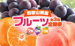 人気フルーツ全3回（7月・9月・11月）定期便 厳選館《7月上旬-11月末頃出荷》和歌山県 日高川町 果物 フルーツ 和歌山の 桃 種なし ピオーネ 有田 みかん 送料無料【配送不可地域あり】---wshg_tmttei3_26_43000_7911y3---
