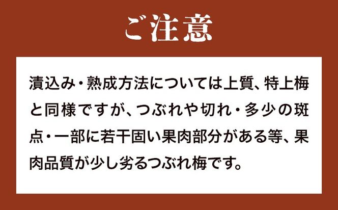 昔ながらの梅干し 訳あり つぶれ梅 約1kg 500g 2パック 農業法人 株式会社紀州梅香《30日以内に出荷予定(土日祝除く)》 和歌山県 日高川町 梅 うめ フルーツ 果物---wshg_kbk5_30d_26_12000_1kg---