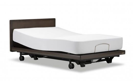 フランスベッド電動リクライニングGS-02F（2モーター：背上げ・脚上げ／3モーター：背上げ・脚上げ・上下昇降）脚付きタイプ／キャスタータイプ　マットレス・手すり付き（シングル）