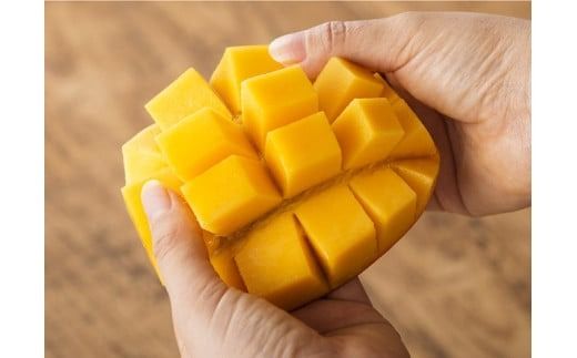 【令和8年発送】宮崎県産 完熟 マンゴー 「おひさまハニーマンゴー」 3L×2玉 【 果物 フルーツ マンゴー 国産 宮崎県産 完熟マンゴー みやざき マンゴー 先行予約 数量限定 期間限定 】  [C03303]