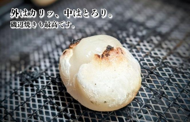 099H4619 【無添加】老舗職人の杵つき生丸餅（白）約500g 【小分け 50g×10個 解凍するだけで“つきたて”の粘りと香り】