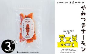 やみつきサーモン（サーモンジャーキー）犬用フード ペット おやつ 無添加 ペットフード 健康