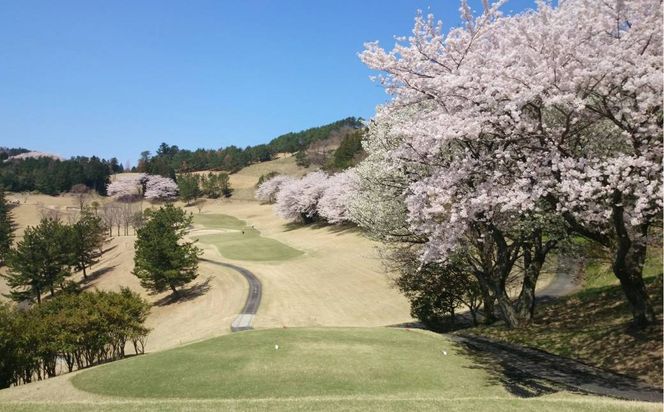 【太平洋クラブ相模コース】ゴルフ場利用券15,000円分（5,000円券×3枚）