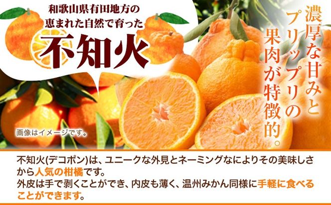 プリッと濃厚!!旬を厳選 不知火 デコポン 同品種 みかん 約2.5kg+250g（傷み補償） 池田鹿蔵農園 《2026年2月上旬-3月末頃より出荷予定》和歌山県 日高町 送料無料 しらぬい でこぽん 濃厚 厳選みかん 厳選デコポン 傷み補償分付き【配送不可地域あり】---wsh_idn331_2j3m_25_12000_2500g---