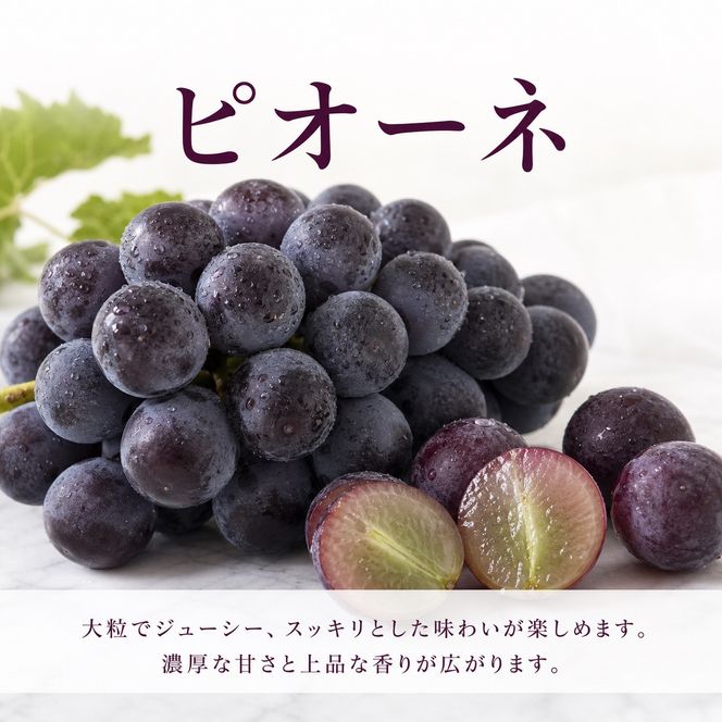 ［全3回 定期便］ 紀州和歌山産旬のフルーツセット（桃・梨・ピオーネ） ［UT142］ 303446_XF91188