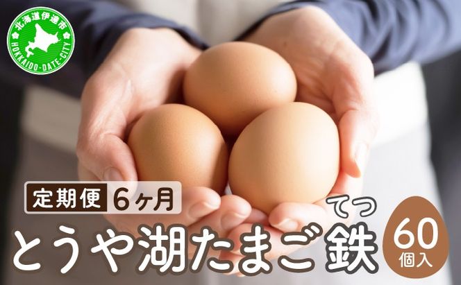 【6ヵ月 定期便】 北海道 伊達市 とうや湖 卵 鉄  60個 入り たまご