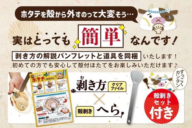 ジャンボ活ほたて 4kg相当 7～12枚入り＜朝どり新鮮出荷!＞【KN0000002】( ふるさと納税 ほたて 大玉 生食 活きほたて 生ホタテ 生帆立 生ホタテ貝柱 帆立貝柱 天然 冷蔵 刺身用 生 )