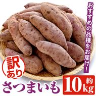 ＜先行予約受付中！2026年8月下旬以降順次発送予定＞訳あり！さつまいも (約10kg) 鹿児島県 阿久根市 さつま芋 サツマイモ 紅はるか 紅さつま シルクスイート 訳アリ 野菜 芋 イモ【松永青果】akn053-20