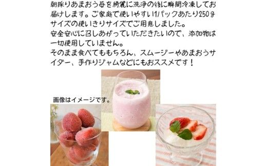 福岡県産 冷凍あまおう500g(250g×2個)【木村食品】_HA1739