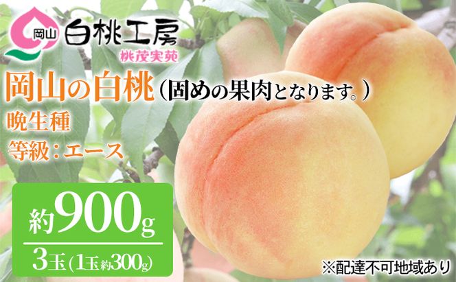 固めの桃 2026年 先行予約 白桃 晩生種 3玉 合計約900g （1玉約300g） 桃 もも モモ 岡山県産 国産 フルーツ 果物 ギフト 桃茂実苑 