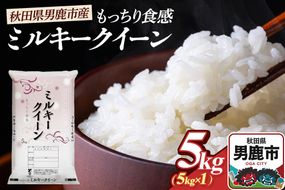 令和7年産 ミルキークイーン（精米）5kg（5kg×1袋）白米 こめ お米 秋田県 男鹿市 大進農場 [こめ 秋田 男鹿市 ミルキークイーン 白米]|23_dsf-100501