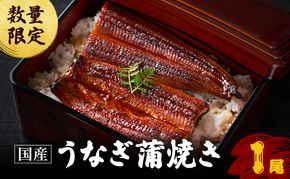 鰻 数量限定 国産 うなぎ蒲焼 1尾 国産鰻 蒲焼 うなぎの蒲焼き 惣菜 おかず 魚介 冷凍