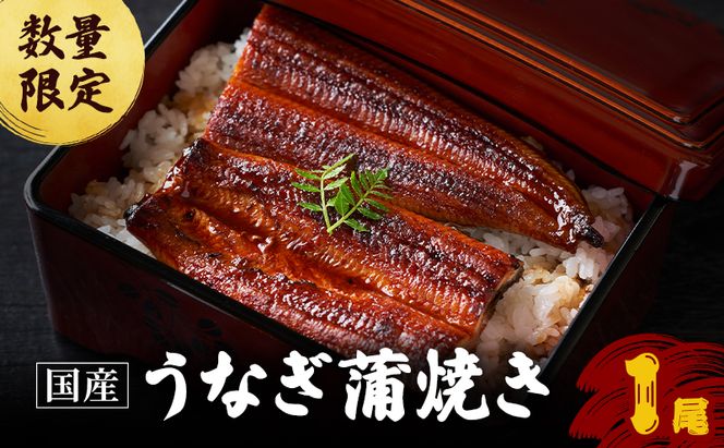 父の日 鰻 数量限定 国産 うなぎ蒲焼 1尾 国産鰻 蒲焼 うなぎの蒲焼き 惣菜 おかず 魚介 冷凍